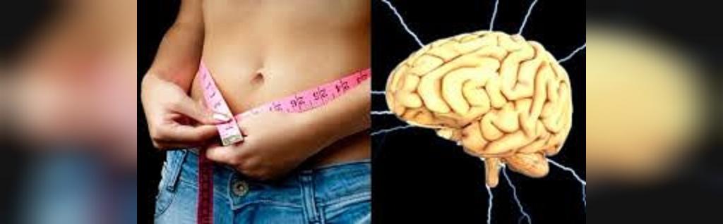 چاقی چگونه بر مغز تاثیر می گذارد؟