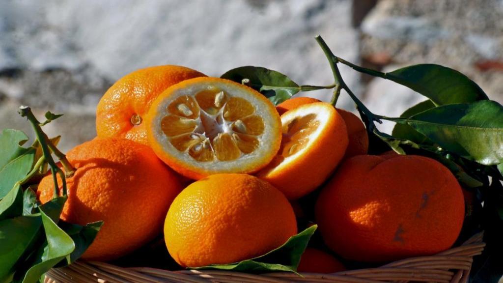 مضرات و خواص نارنج برای پوست صورت، لاغری و سلامتی