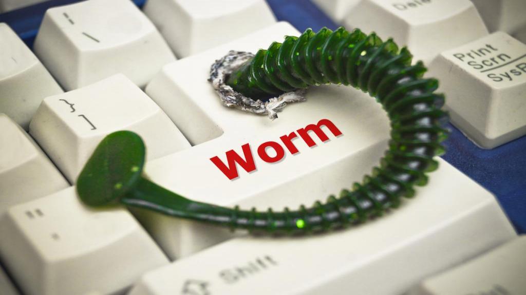 کرم های کامپیوتر (Computer Worms) چه هستند و راه های جلوگیری از نفوذ آنها به سیستم کدام است؟