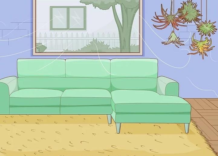 نحوه آبیاری گیاهان هوازی 10