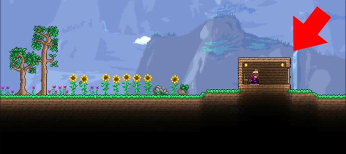 نحوه جلوگیری از حمله دشمنان در بازی Terraria 10