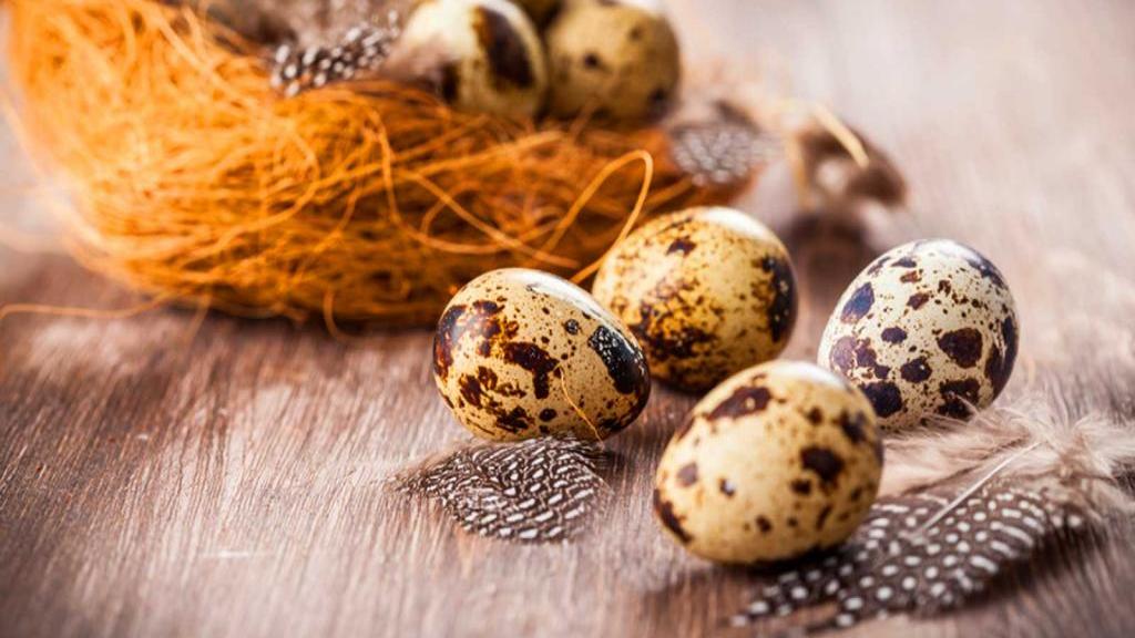 11 مزیت شگفت انگیز تخم بلدرچین برای سلامتی
