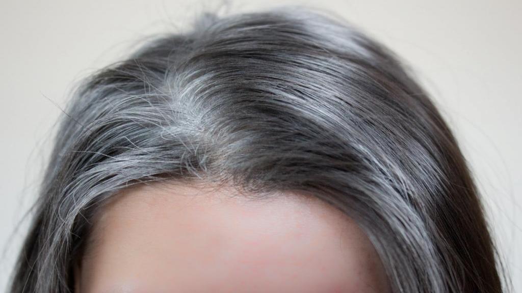 رفع سفیدی موی سر با 7 درمان گیاهی و طبیعی خانگی