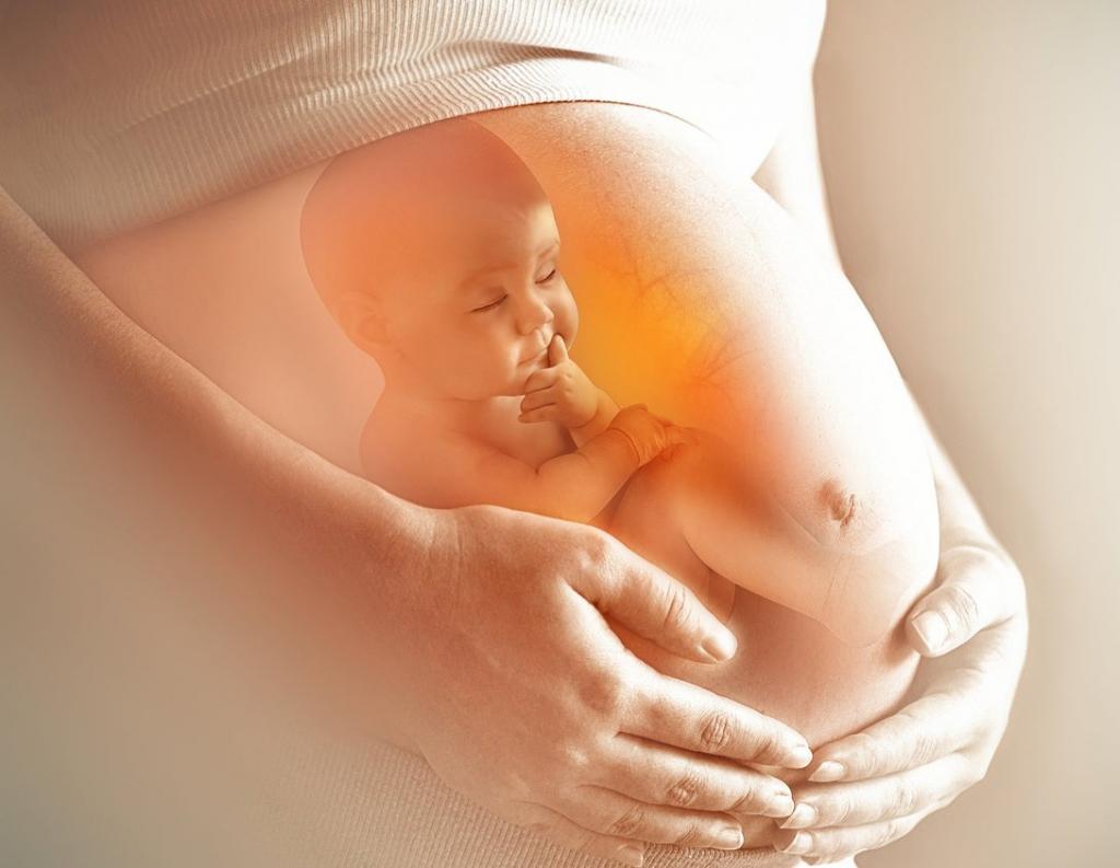 حرکات جنین در هفته بیست و چهارم بارداری 