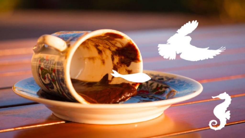 معنی و تفسیر دیدن پرنده در فال قهوه در بالا و پایین فنجان چیست