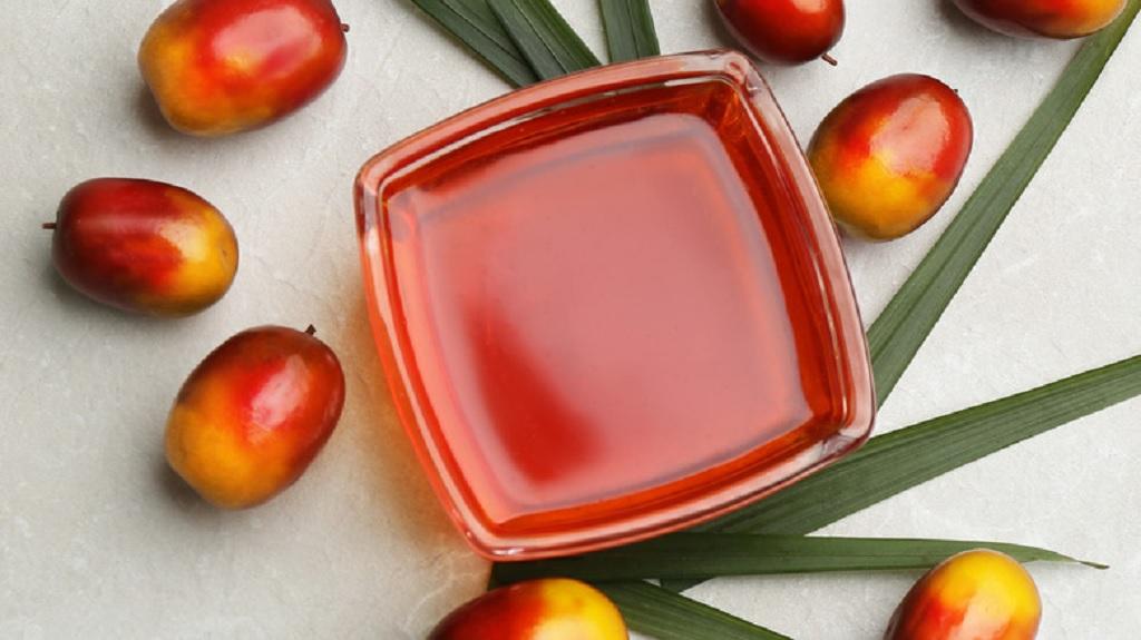 روغن پالم چیست؟