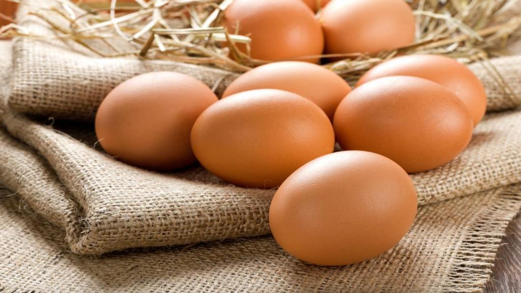 خواص و مضرات تخم مرغ برای سلامتی؛ ویتامین و تعداد مصرف تخمه مرغ