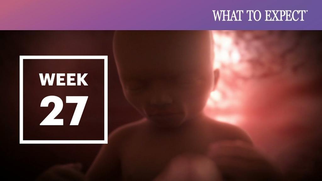 هفته بیست و هفتم بارداری یعنی ماه چندم؛ تغذیه و ترشحات هفته 27