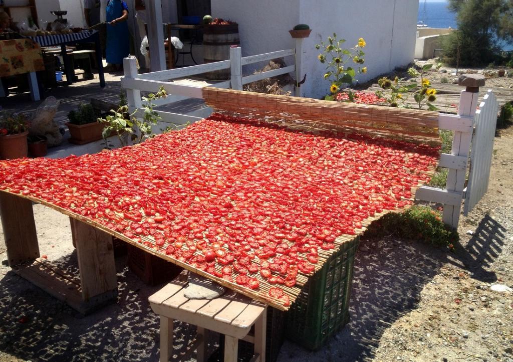 طرز تهیه گوجه خشک در آفتاب