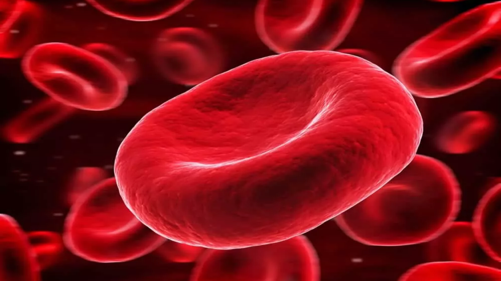 علت کم خونی ماکروسیتیک چیست؛ علائم و درمان کم خونی ماکروسیتیک