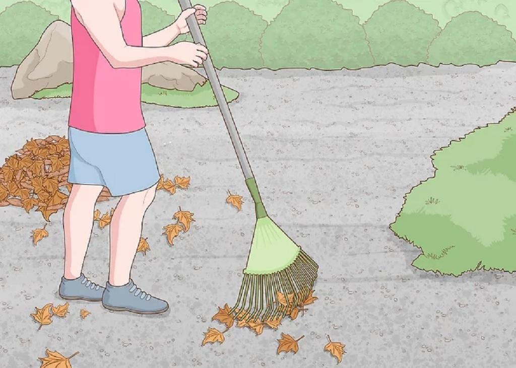 روش هرس کردن باغ ذن برای کسب آرامش