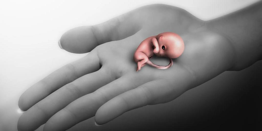 علل سقط جنین