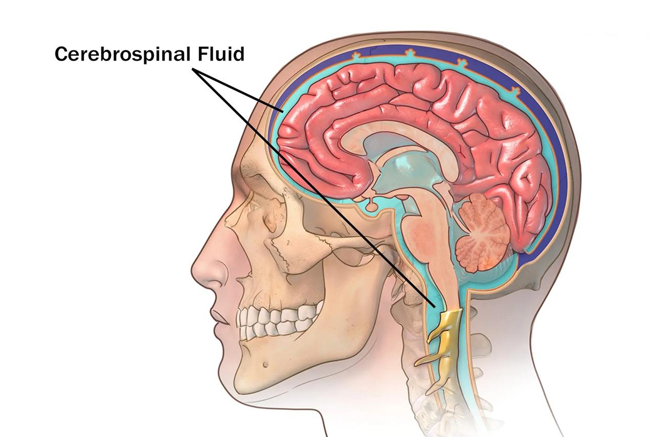 خطرات و عوارض جراحی آندوسکوپی سینوس