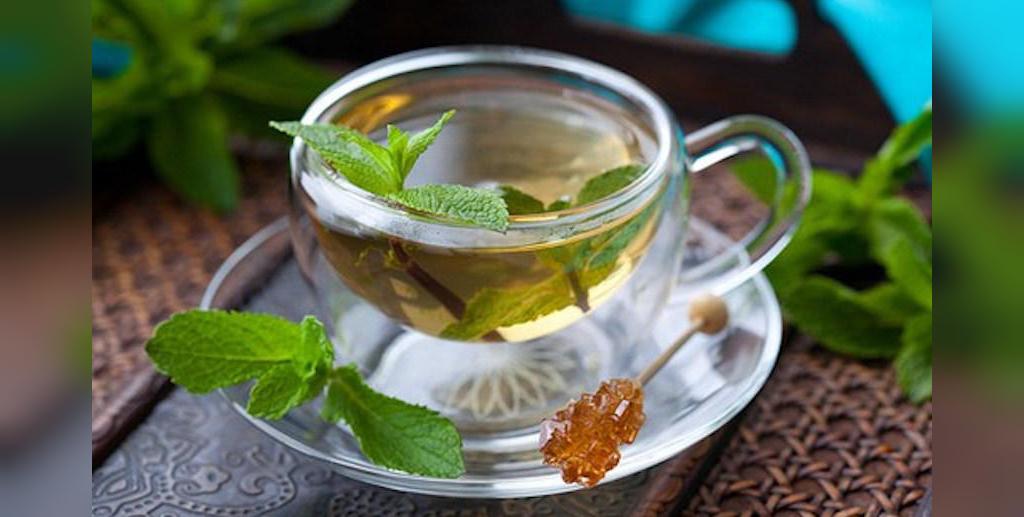 خواص پونه کوهی برای سلامتی و گلودرد + طرز تهیه چای پونه در خانه 