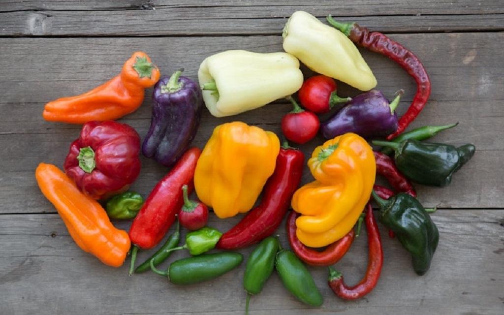 بهترین مواد غذایی برای کلاژن سازی پوست