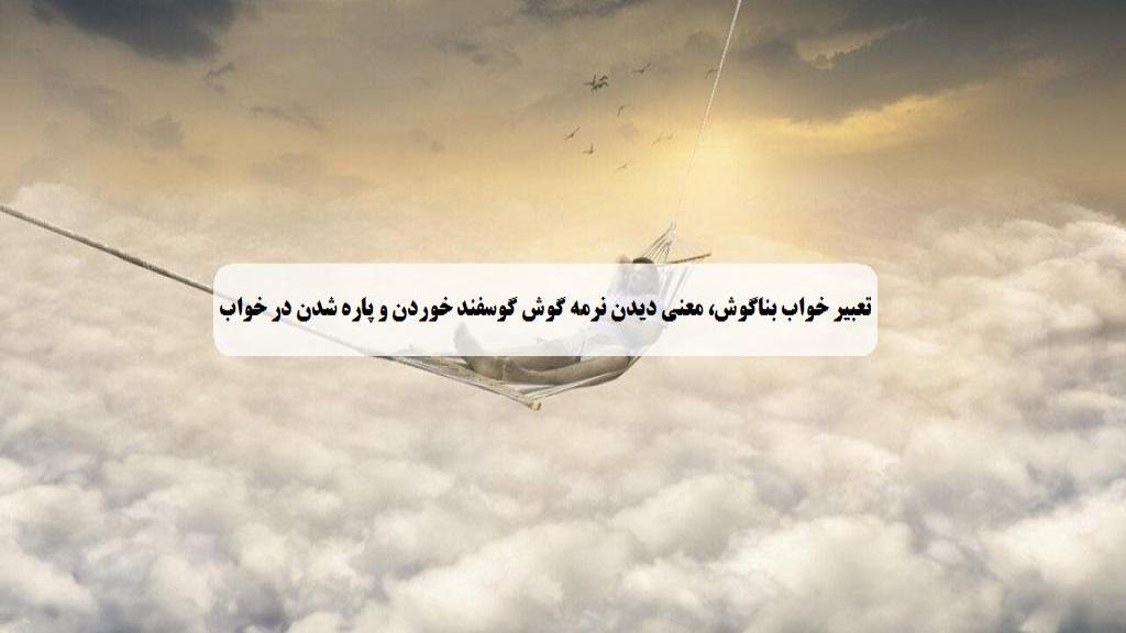 تعبیر خواب بناگوش گوسفند؛ معنی خوردن نرمه گوش کله پاچه در خواب