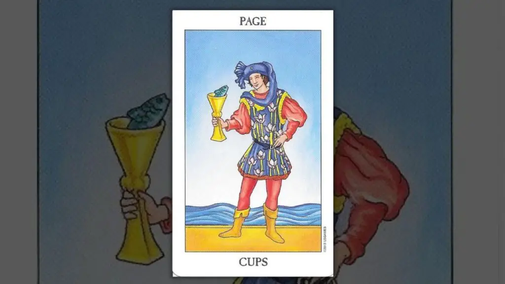 معنی کارت نوباوه جام در تاروت؛ تفسیر دقیق و کامل Page of Cups