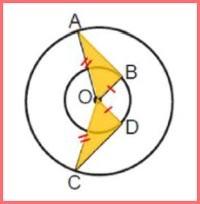 حل تمرین صفحه 99 ریاضی هشتم 7
