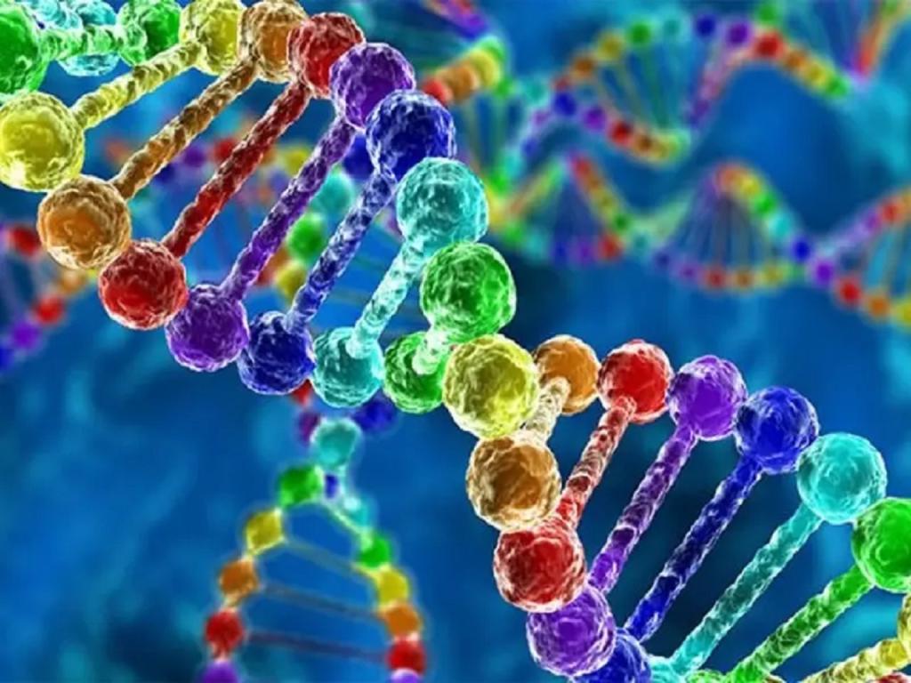 معنی DNA چیست به زبان ساده