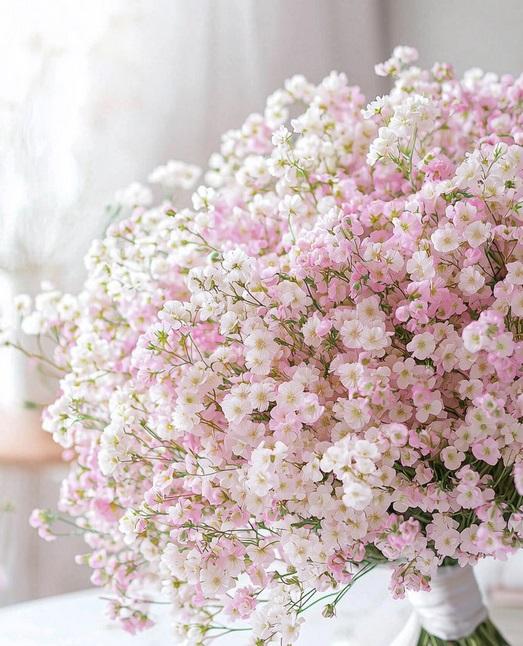 مدل دسته گل عروس ژیپسوفیلا 1