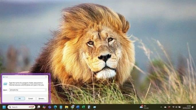 نحوه رفع مشکل عدم شناسایی پرینتر در ویندوز 11 4