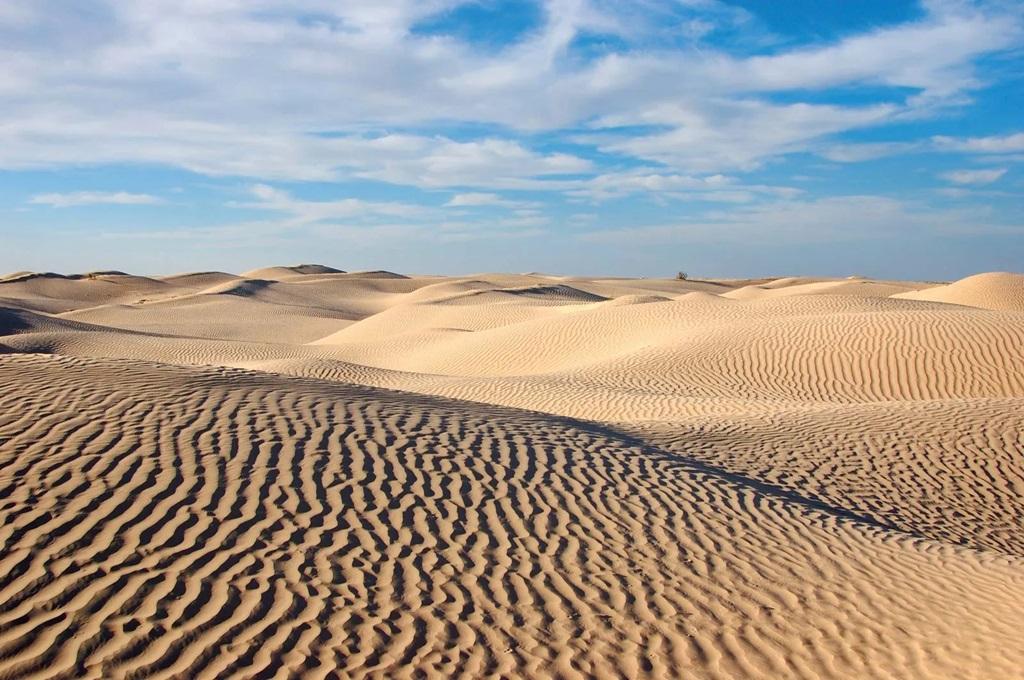 تعبیر خواب بیابان 2