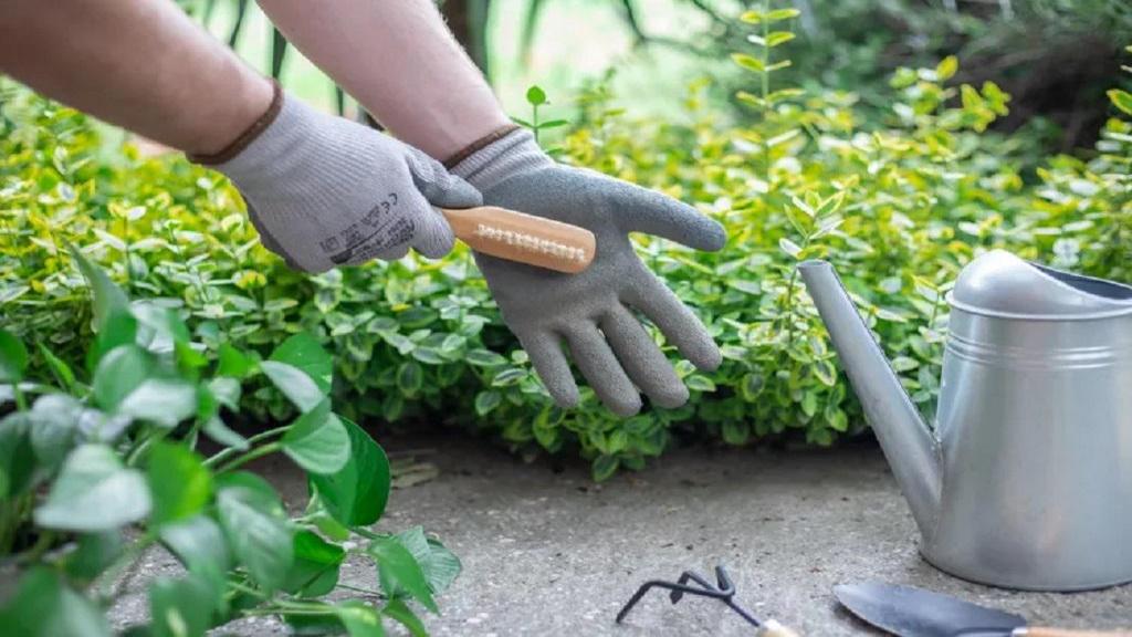روش شستن دستکش باغبانی چرمی، لاتکس و نخی + تعمیر و نگهداری