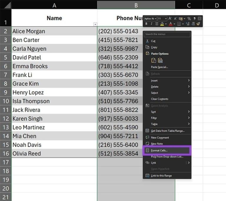 نحوه تنظیم شماره تماس در اکسل 2