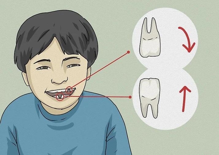 پری دندان و ریشه افسانه&zwnj;ها 6