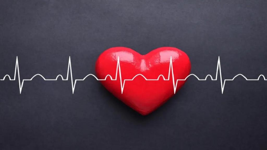 علت تپش قلب چیست؛ علائم، تشخیص و درمان تپش قلب