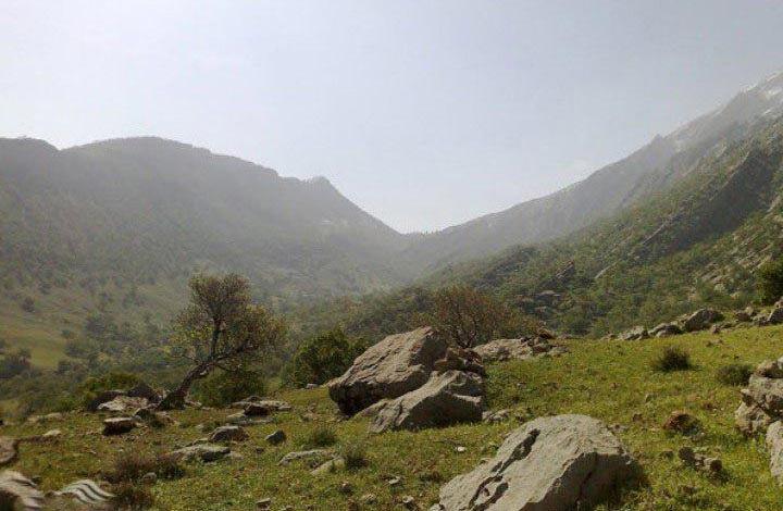 منطقه حفاظت‌شده کوه خامین