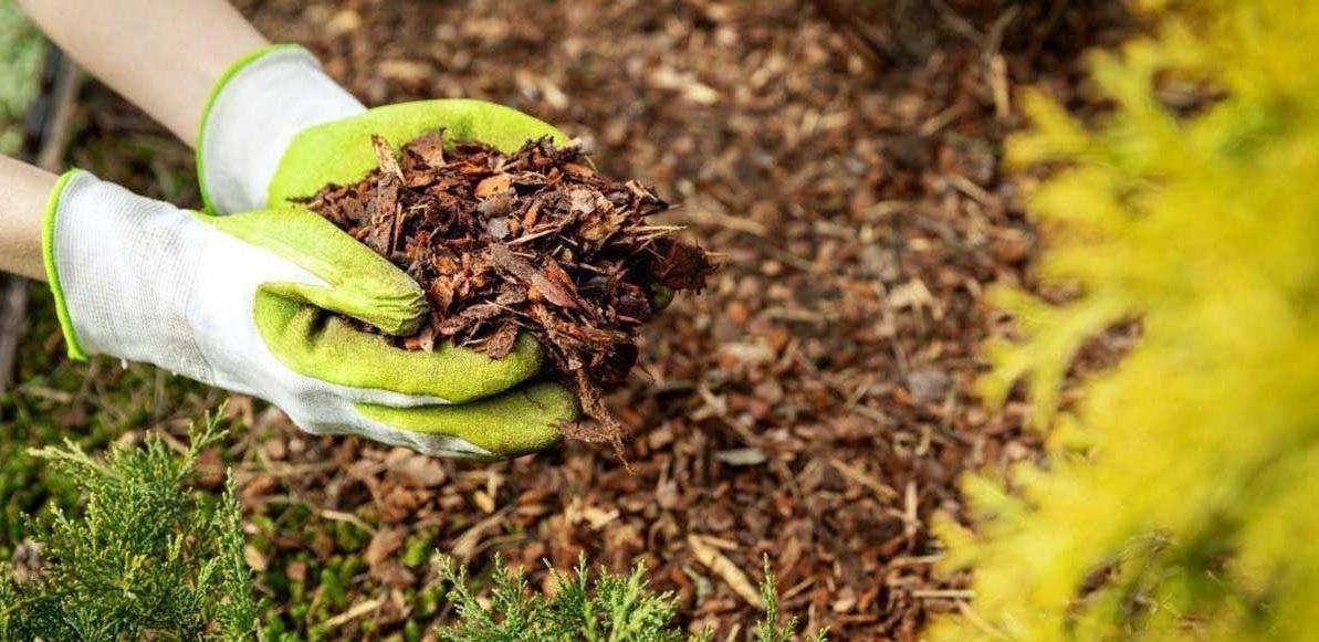 نحوه آبیاری گل و گیاهان در هنگام سفر 3