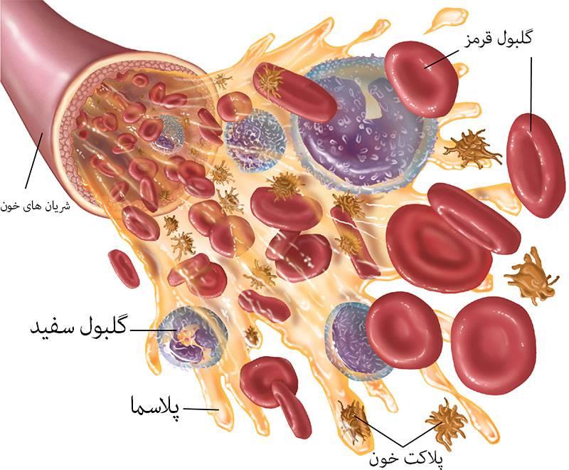 درمان پلاکت پایین خون در کودکان