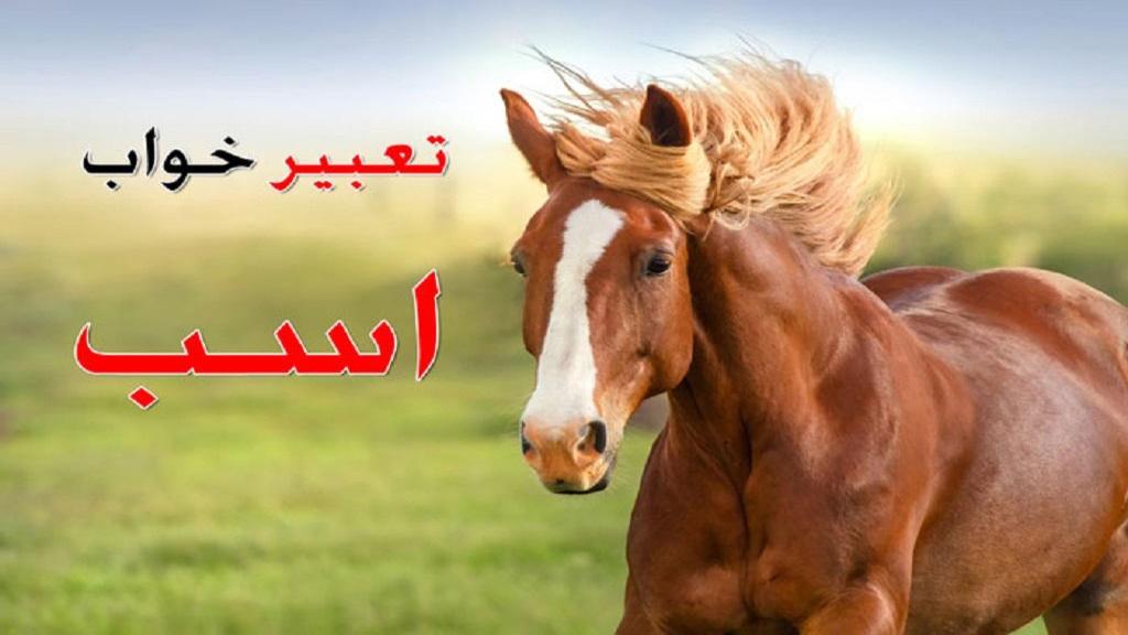 تعبیر خواب اسب؛ معنی دیدن اسب وحشی، رنگی برای دختر مجرد امام صادق