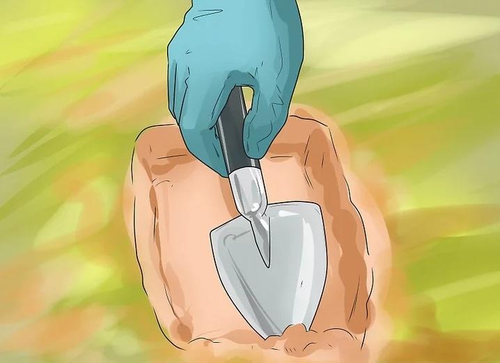 روش&zwnj;های به دام انداختن کایوت 8