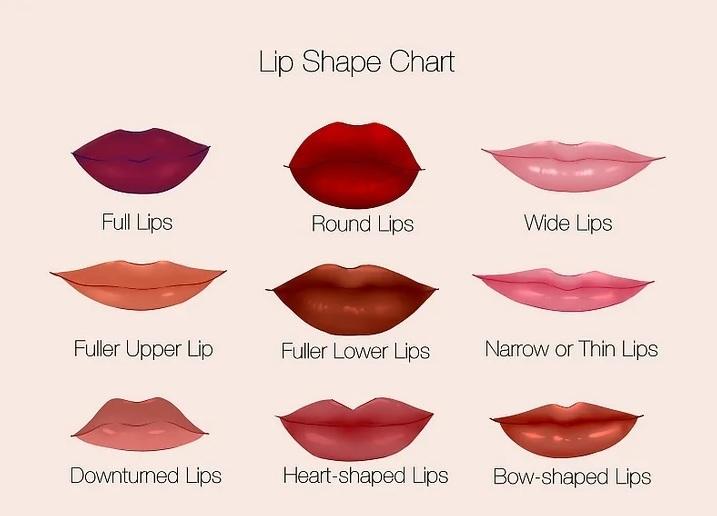 انواع فرم لب 11