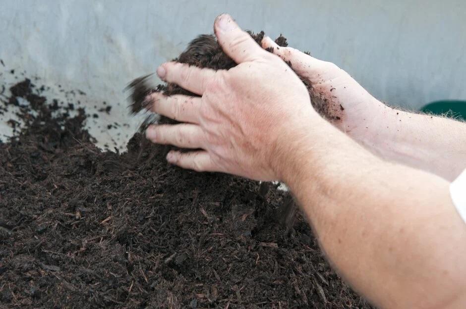 چگونه خاک گلدان خانگی خود را بسازیم؟ 5