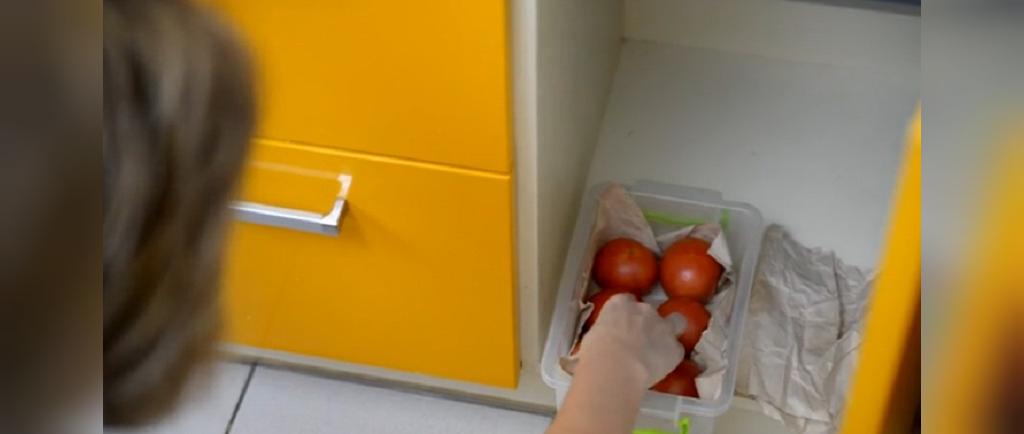 نکات کلیدی در نگه داری طولانی مدت گوجه فرنگی