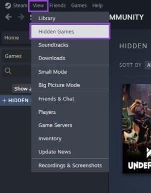 نحوه حل مشکل نمایش بازی در استیم 1