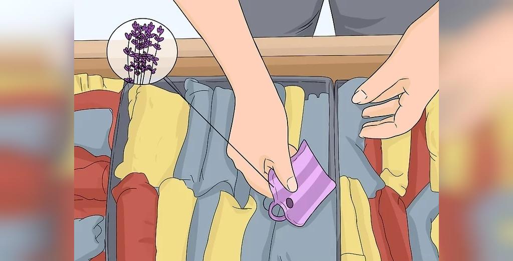 یک عطر گل یا رایحه اسطوخودوس را در کشو یا چمدان لباس خود قرار دهید