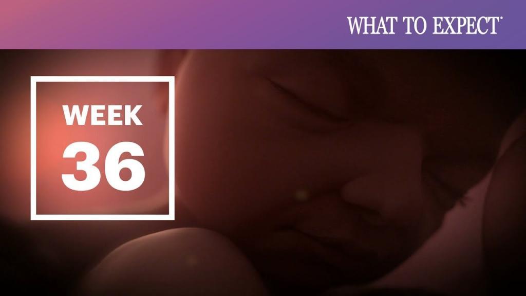 هفته سی و ششم بارداری؛ علائم زایمان، تغذیه و مراقبت های هفته 36