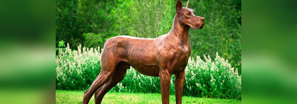 25 سگ خطرناک جهان