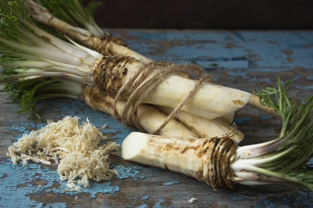 دانستنی‌ها و نکات مهم ترب کوهی