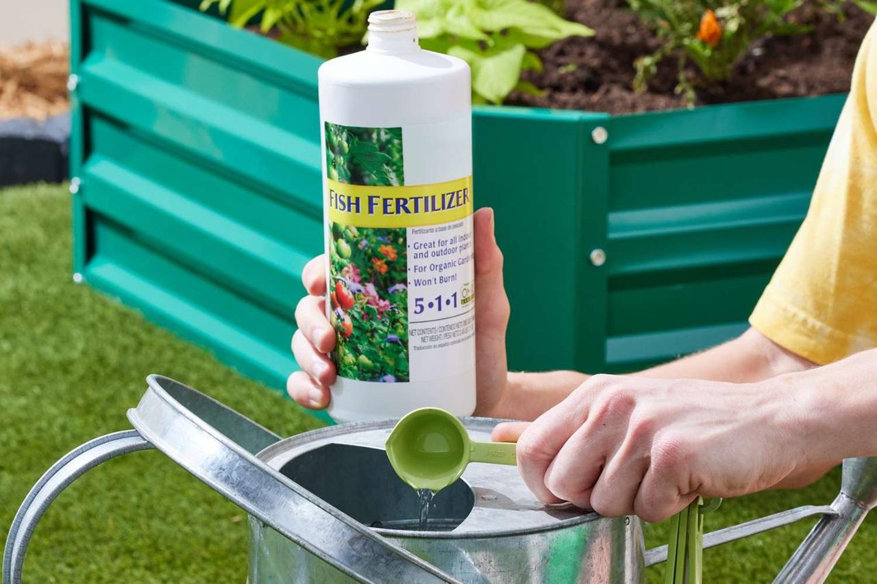 نحوه استفاده از امولسیون ماهی