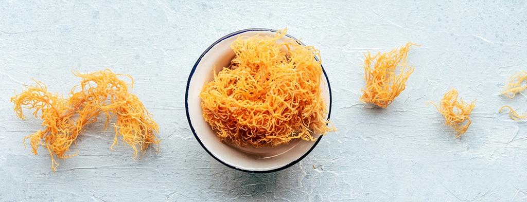 ارزش تغذیه‌ای جلبک دریایی