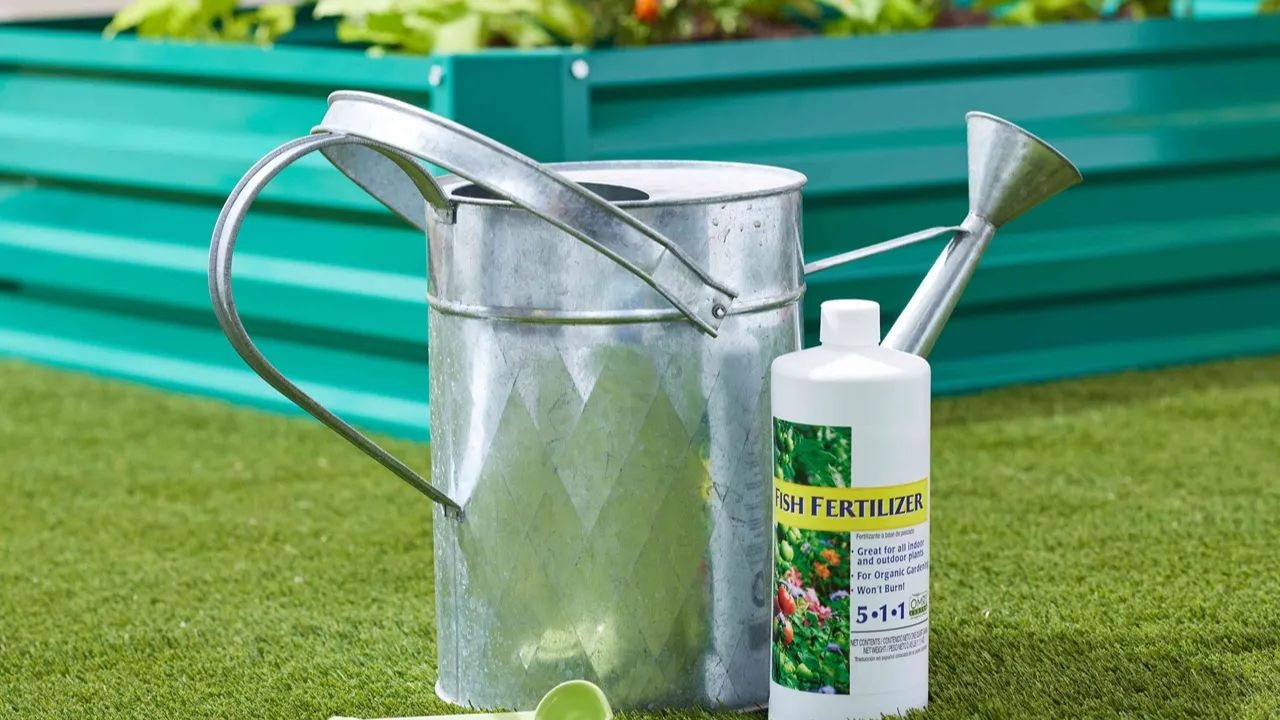 خواص و معایب کود امولسیون ماهی؛ روش مصرف و طرز تهیه کود ماهی