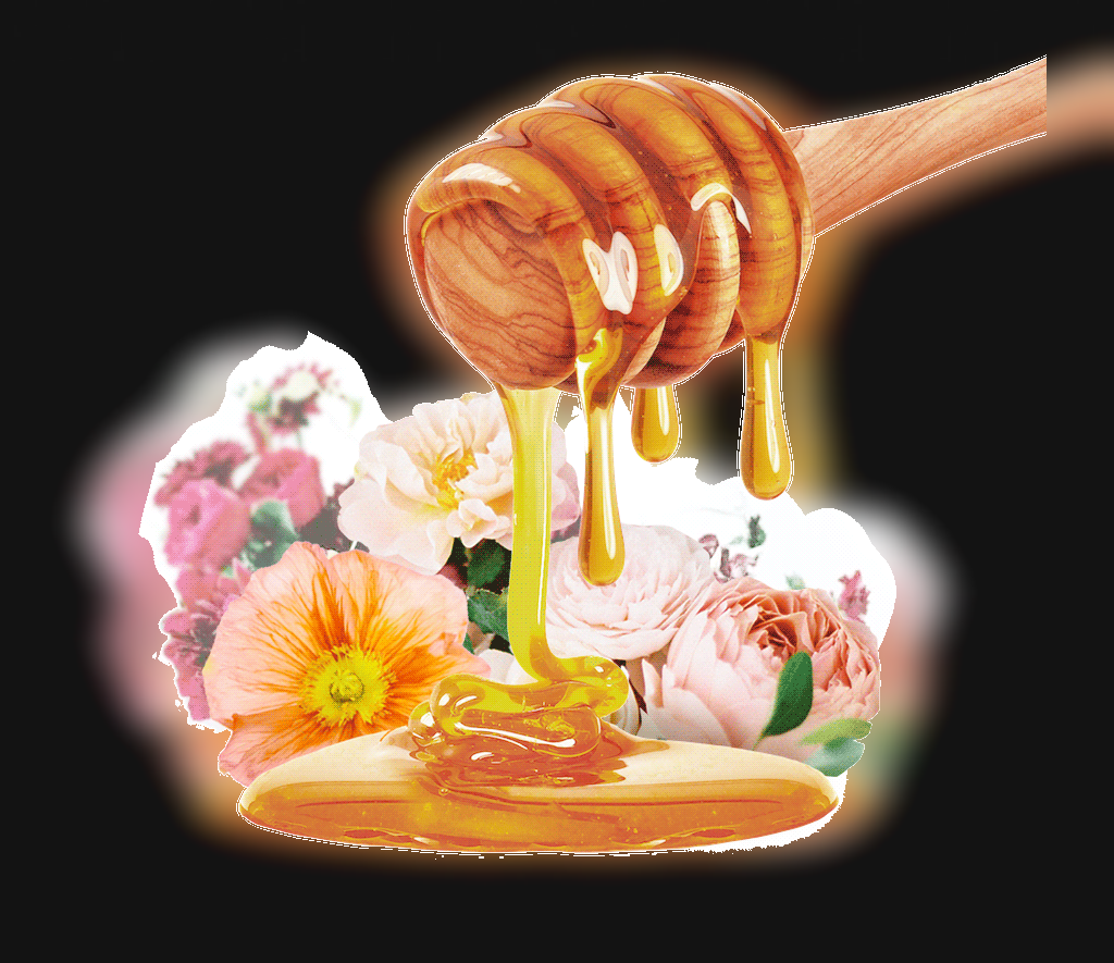 عوامل موثر بر مزایای و خواص عسل