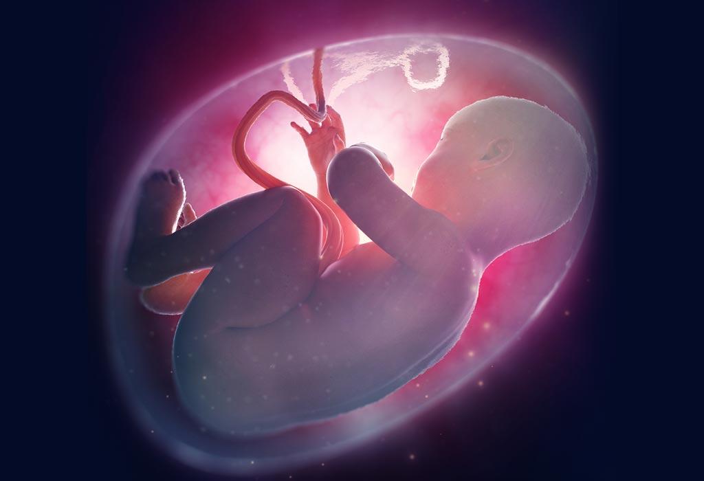 آیا جنین ها در رحم مادر ادرار می کنند؟