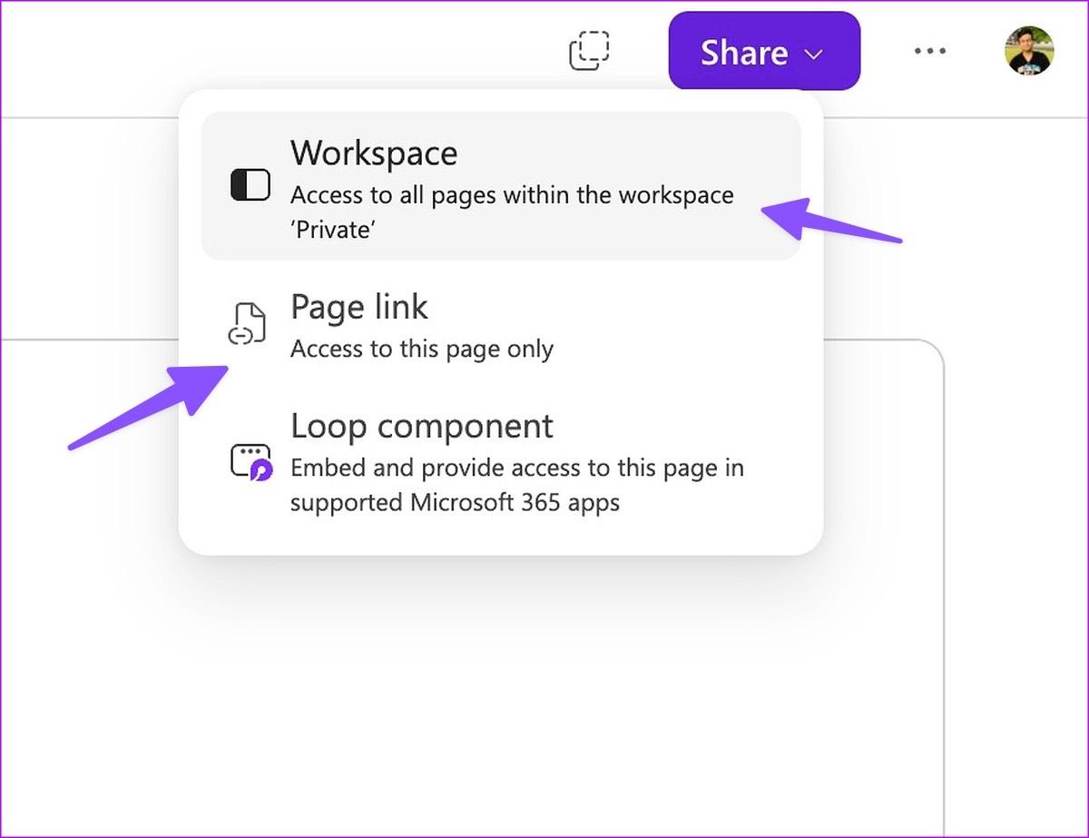 راهنمای کاربردی مایکروسافت لوپ 16
