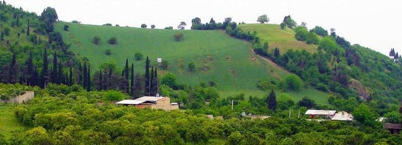 جاهای دیدنی محمود آباد در بهار با آدرس
